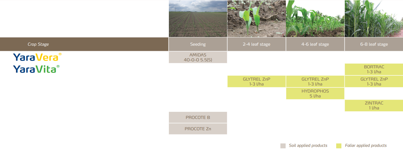 Programmes de Nutrition des Cultures de Maïs