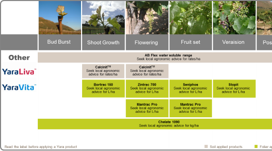 Table Grape Fertilizer Program - Water Soluble