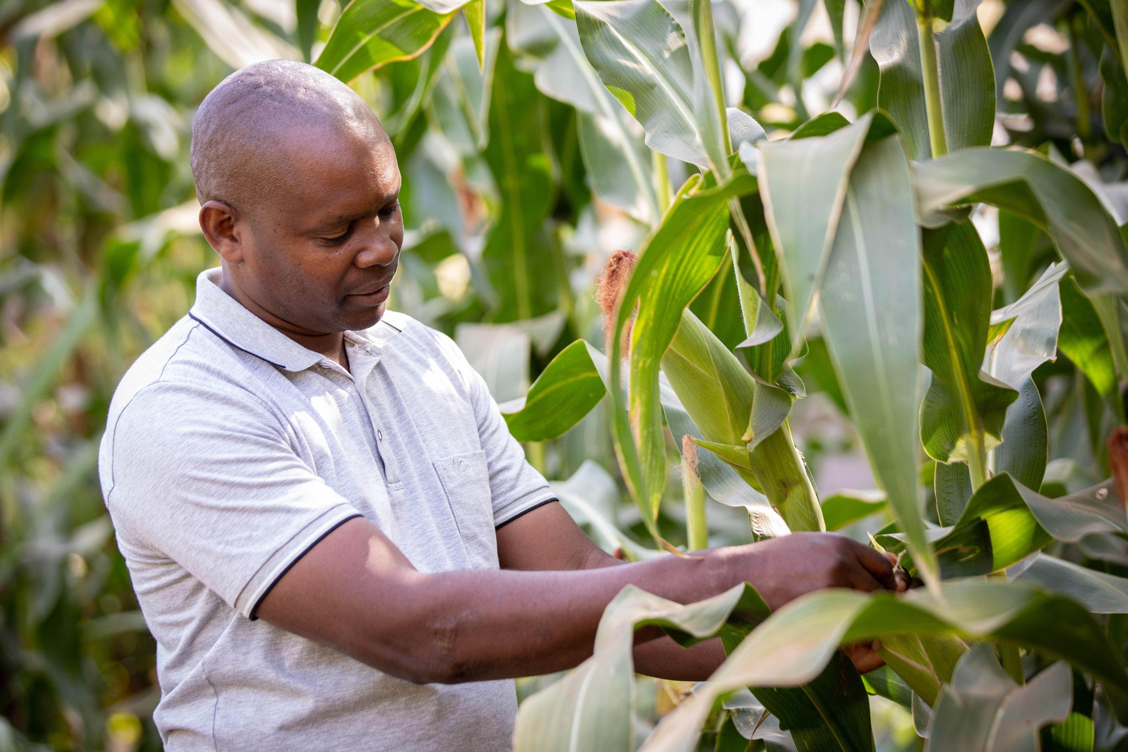 knowledge centers across farming communities