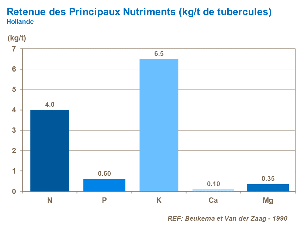 FR-major nutrient removal tuber.png