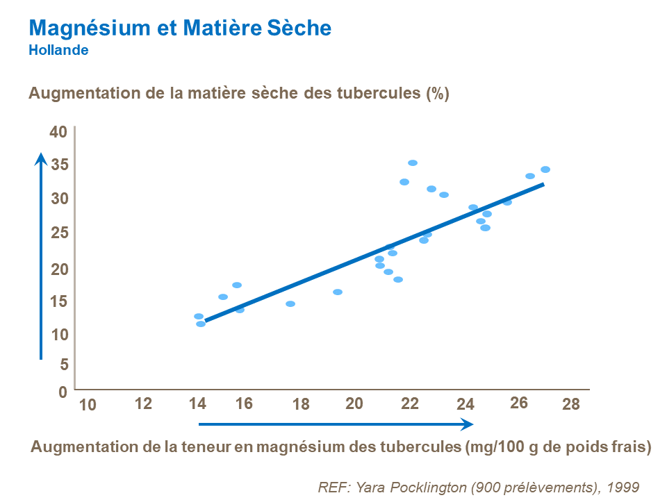 FR-magnesium-increasing-tuber-dry-matter.png