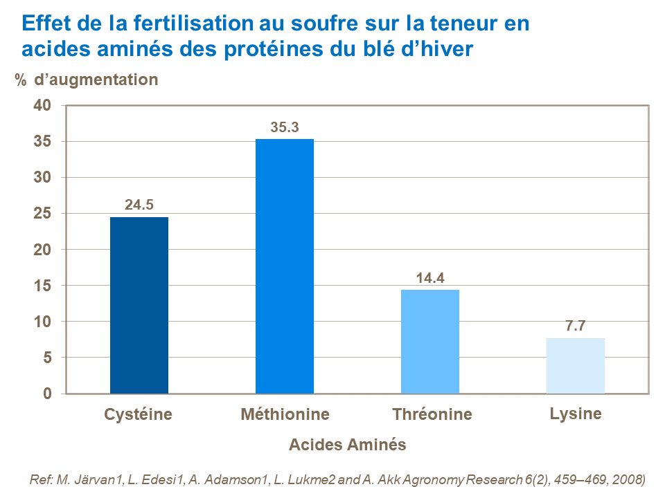 FR - Effect of S on amino acids in the wheat proteins.png