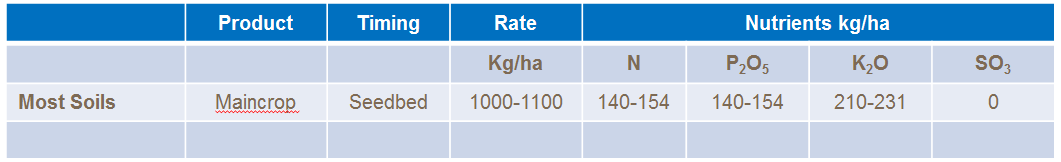 chicory fertiliser recomendations