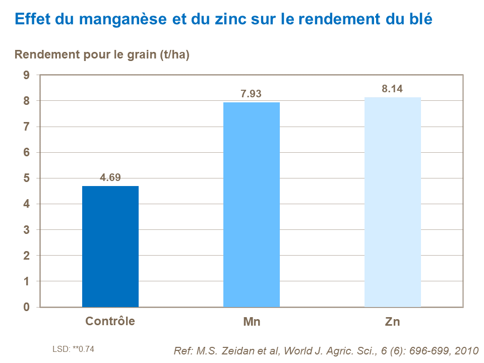FR - effect of Mn and Zn on wheat yield.png