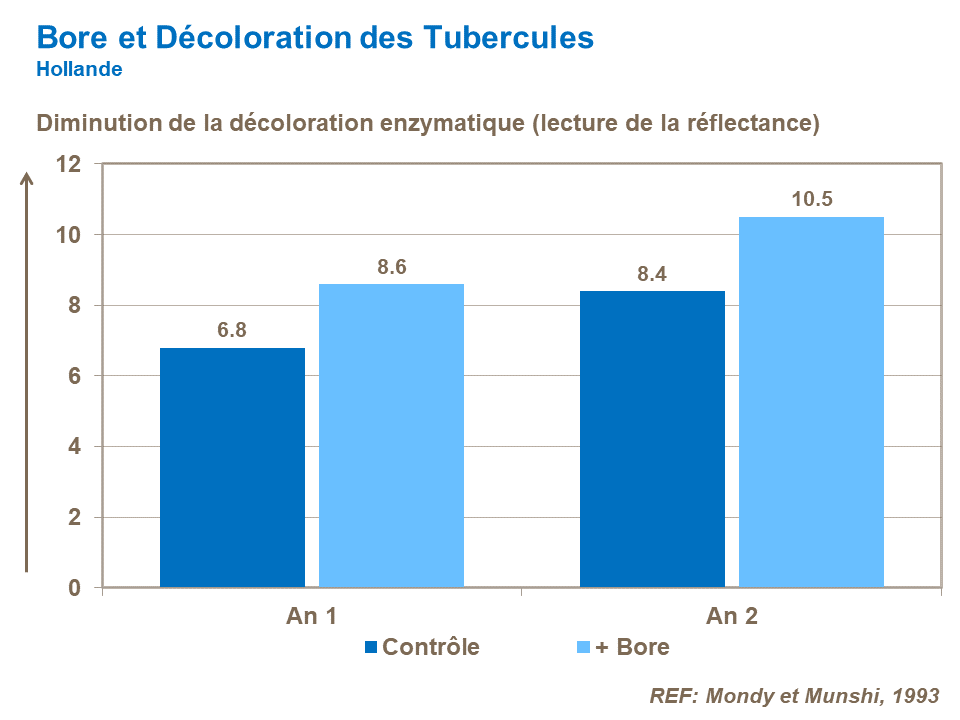 FR-boron and tuber discoloration.png