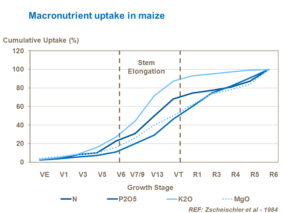 Macronutrient uptake in maize by growth stage