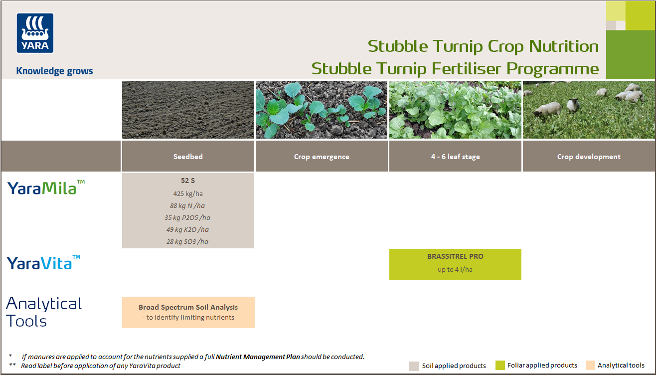 Stubble turnip fertiliser programme