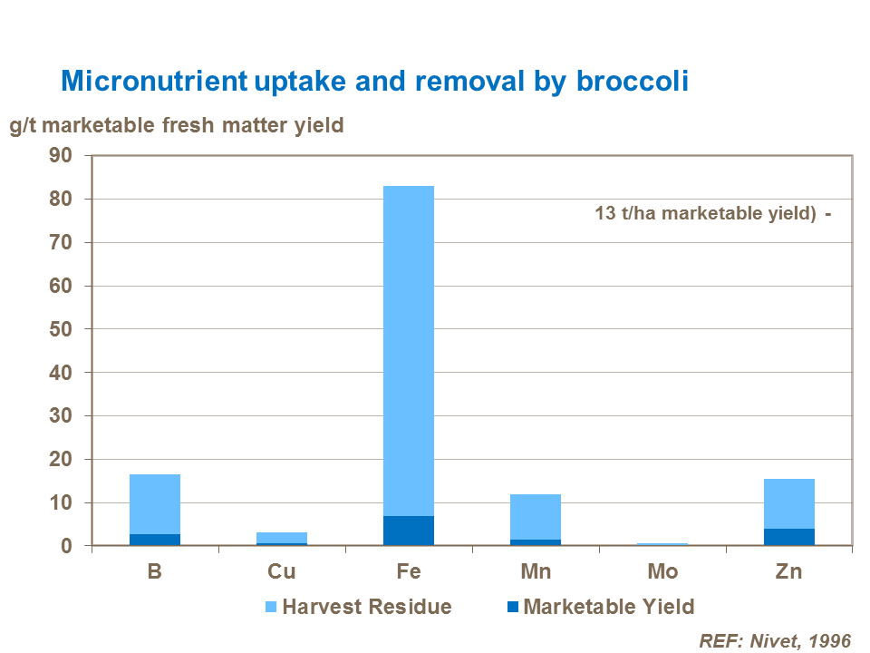 Micronutrient uptake and removal by broccoli