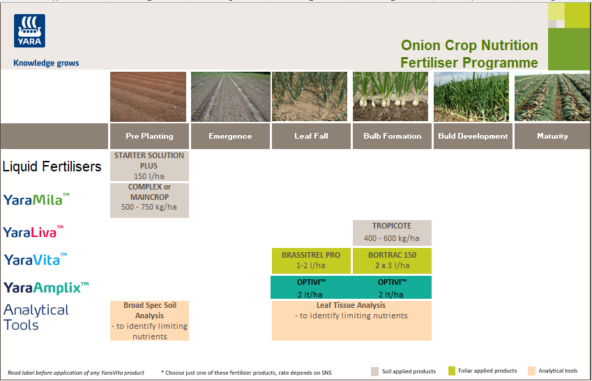 Onion fertiliser programme